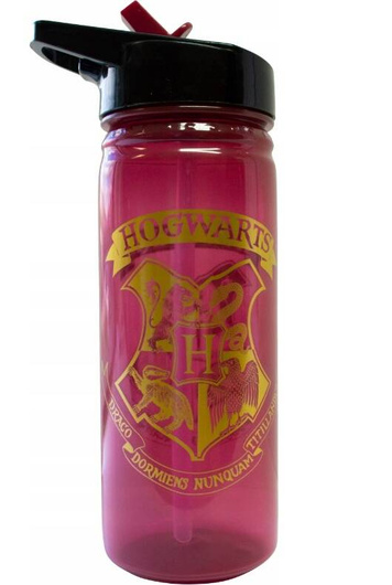 BIDON dla dzieci Harry Potter Hogwarts 600 ml